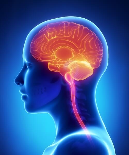 Brain-injury1.jpg